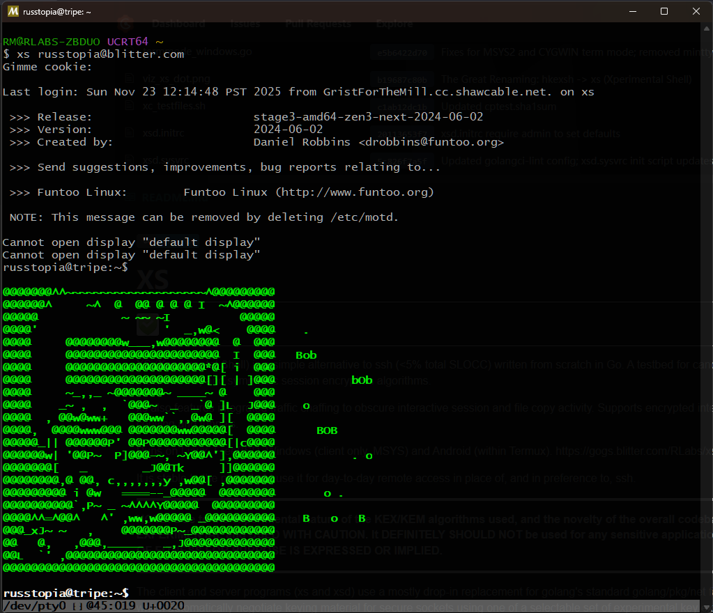 terminal screenshot on MSYS64